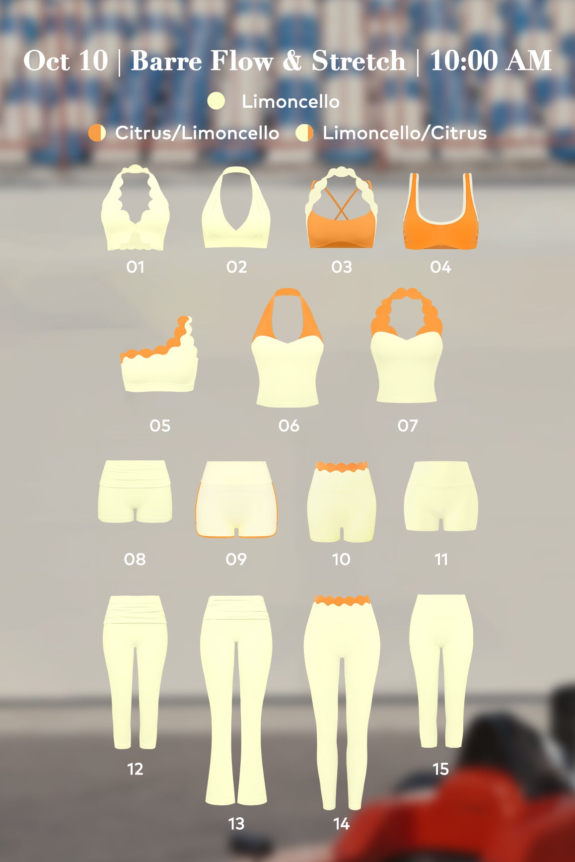 The Wellness Paddock | WISKII Rewards Exclusive