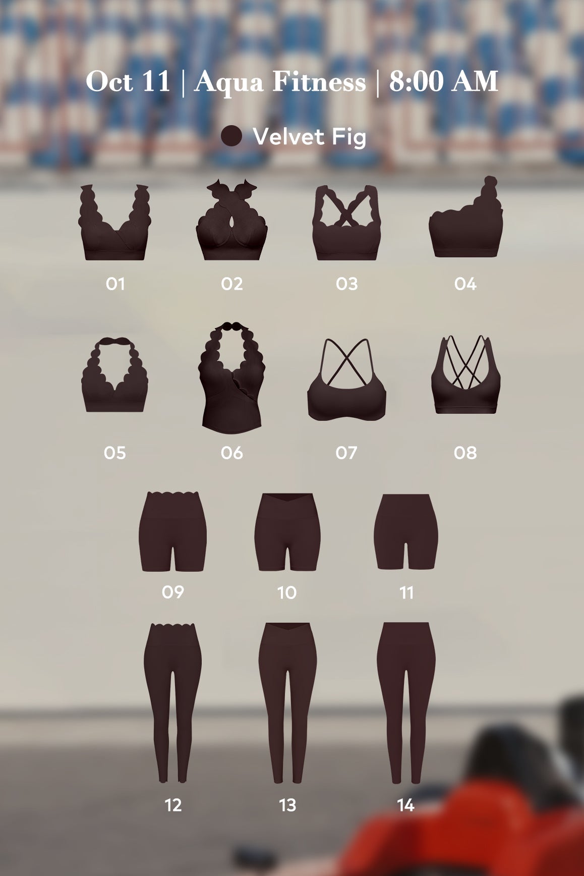 The Wellness Paddock | WISKII Rewards Exclusive - WISKII - Event